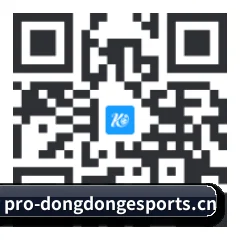 系统版 iOS 二维码